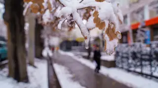 Зимы становятся теплее: как растёт температура в Казахстане