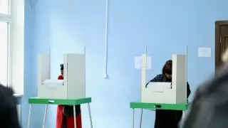 Гражданам Грузии запретят голосовать на выборах за рубежом