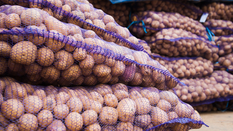 Фото:depositphotos.com