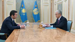 Токаев дал поручение главе МСХ по продовольственной безопасности страны