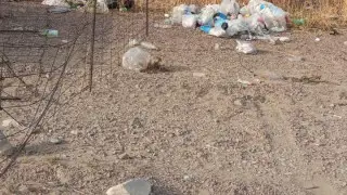 Горы мусора на популярном водоёме возмутили казахстанку