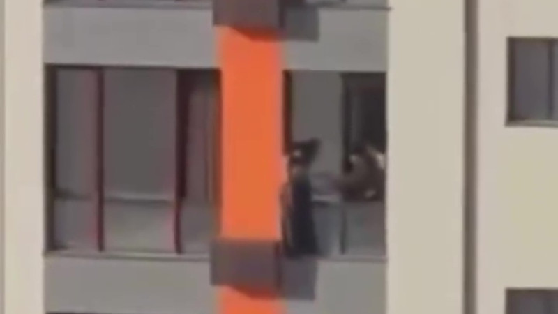 Кадр из видео