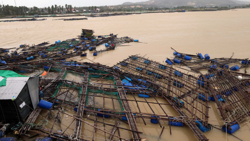 Фото: x.com/VietnamNewsVNS