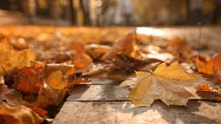 Осень ещё побалует казахстанцев теплом: прогноз на 3 дня