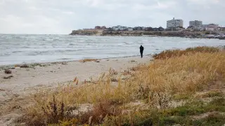 Учёные предупредили: Каспийское море может разделиться на два озера