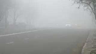 Туман, осадки, гололед: какой будет погода в Казахстане 25 ноября