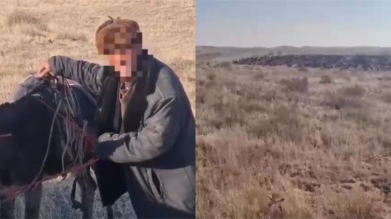 Кадры из видео