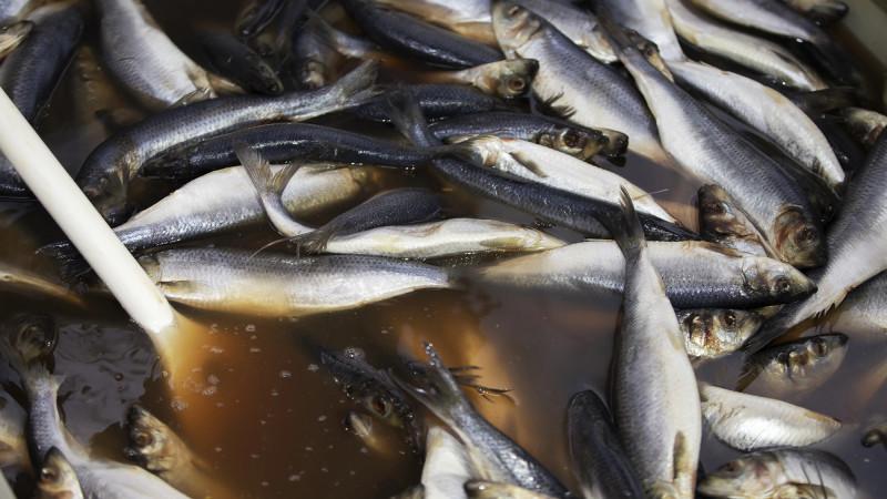 Фото:depositphotos.com