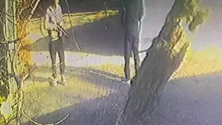 “Перебил позвоночник“: казахстанец расстрелял собак из ружья на глазах детей