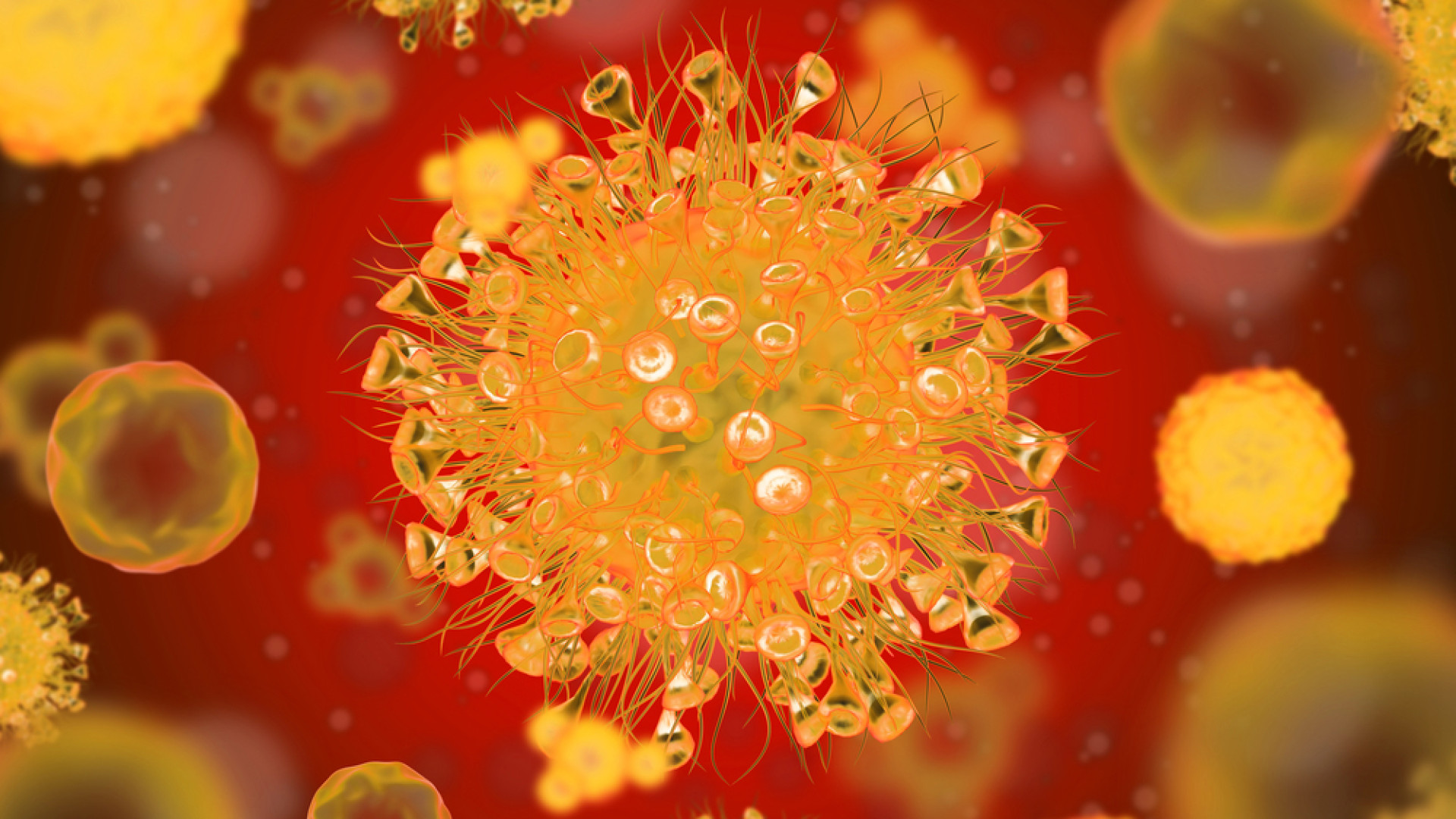 Новый мутирующий вирус угрожает миру сильнее COVID-19 - СМИ