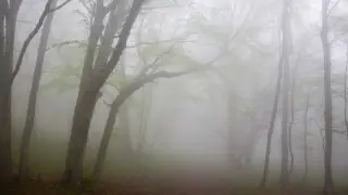 Казахстан окутает туман: штормовое предупреждение объявлено в 17 областях