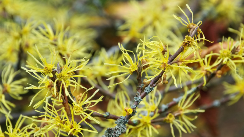 Фото:depositphotos.com