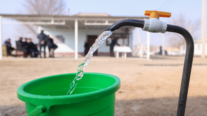 Фото: УВП города Шымкента