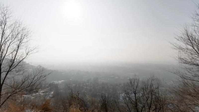 Фото ©️ Tengrinews.kz