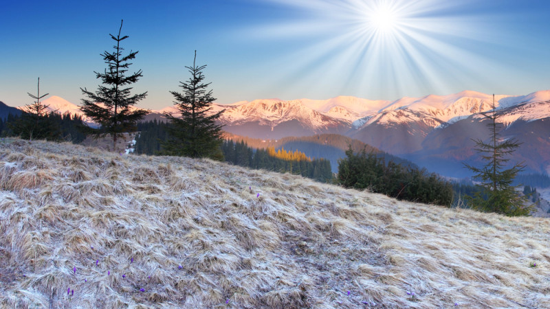 Фото:depositphotos.com