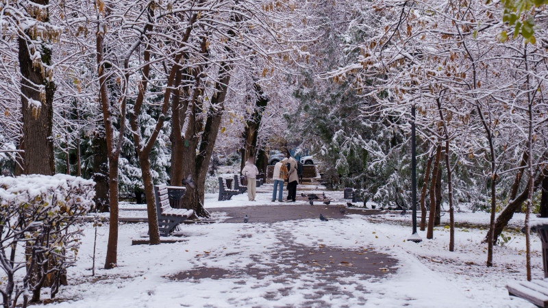 Фото: ©Tengrinews.kz/Болат Айтмолда