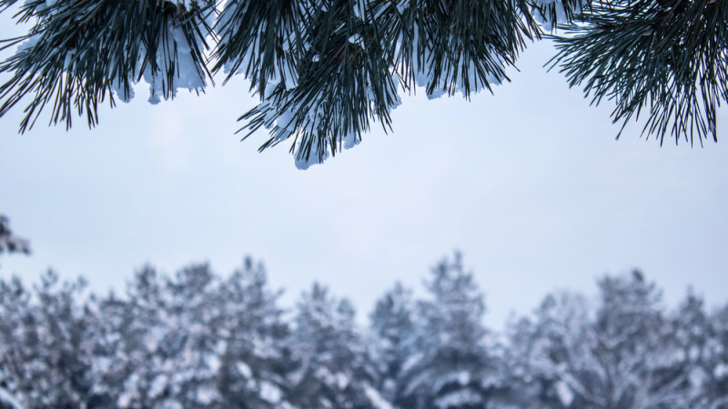 Фото:depositphotos.com