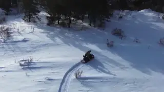 Охрану хвойных лесов усилили на востоке Казахстана