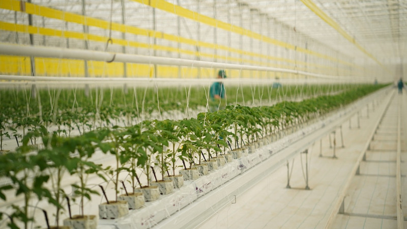 Фото: Арман Ғалымжанов