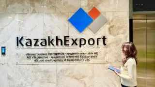 Экспорт на новые рынки: как ЭКА помогает компаниям расти