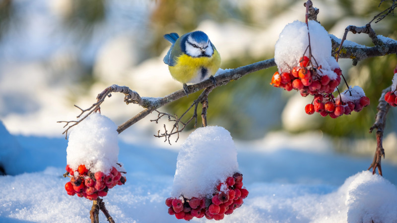 Фото:depositphotos.com