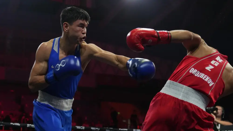Фото: Федерация бокса Казахстана