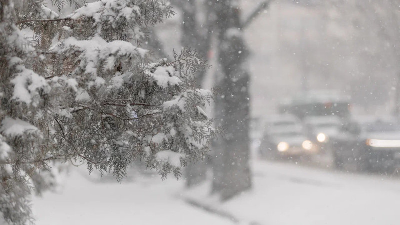 Фото ©️ Tengrinews.kz