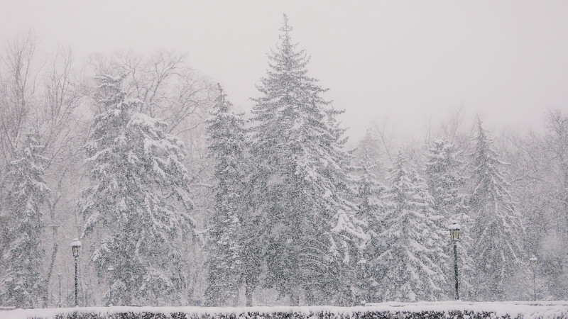 Фото ©️ Tengrinews.kz / Алихан Сариев