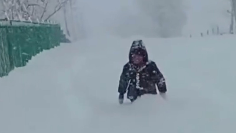 Кадр видео из соцсетей