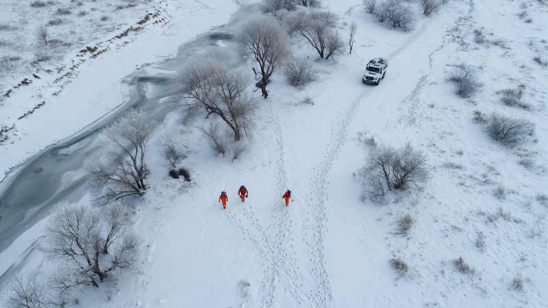 Изображение сгенерировано при помощи нейросети Midjourney