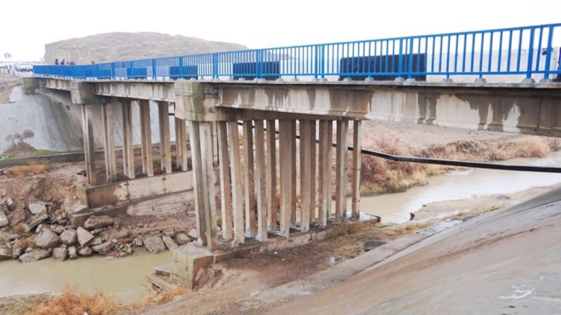 Фото: пресс-служба акимата Келесского района
