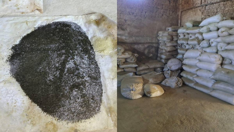 Фото: polisia.kz