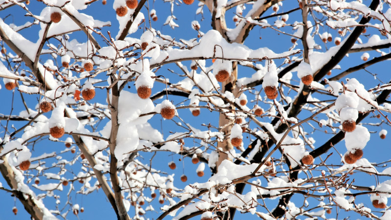 Фото:depositphotos.com