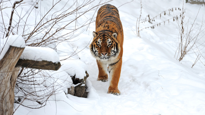 Фото:depositphotos.com