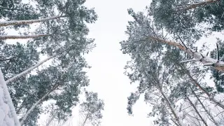 Морозы и снегопад: прогноз погоды в Казахстане на воскресенье