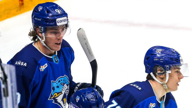 Фото: ХК "Барыс"