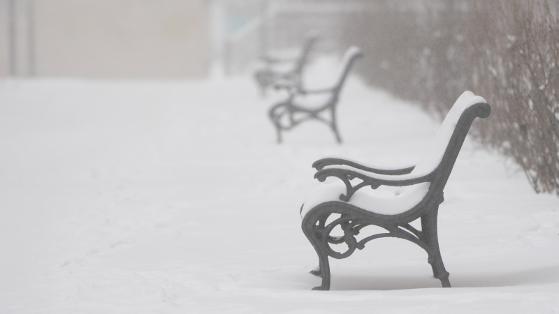 Фото © Tengrinews.kz / Маржан Куандыкова