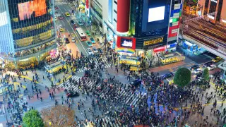 “Такой менталитет нам нужен здесь“ — Токаев похвалил граждан Японии