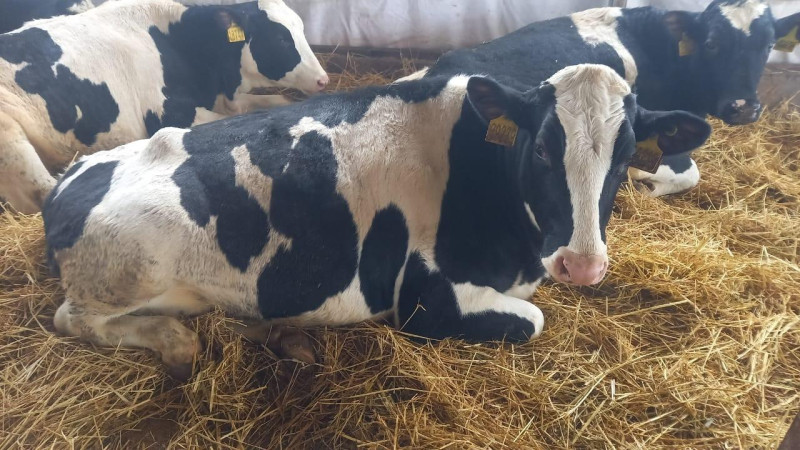 Фото: акимат Алматинской области