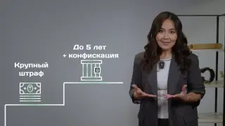 Кредиты, пирамиды и «лёгкие деньги»: что важно знать о финансах