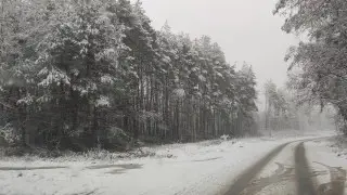 От тумана до гололёда. Штормовые предупреждения объявили в регионах