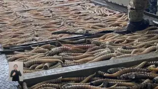 На границе Казахстана и России задержали браконьеров