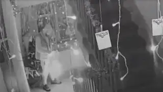 Мужчину, поджёгшего новогоднюю ёлку в подъезде дома в Темиртау, арестовали на 10 суток