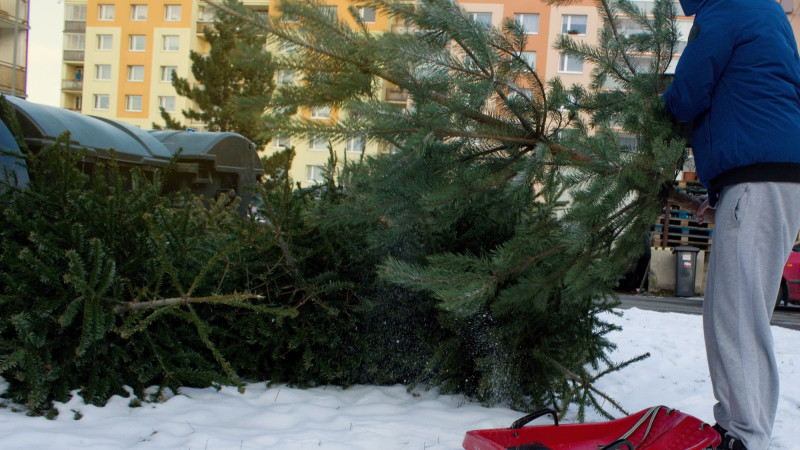 Фото:depositphotos.com