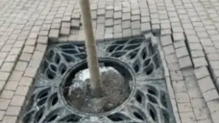 “Полгода мучили этот Достык“: алматинцев возмутила реконструкция проспекта