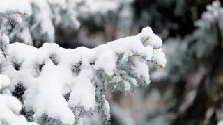 Осадки, сильный ветер, туман: какой будет погода в Казахстане 12 января