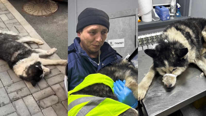 Фото предоставлено героем материала