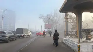 Густой туман окутал часть Алматы