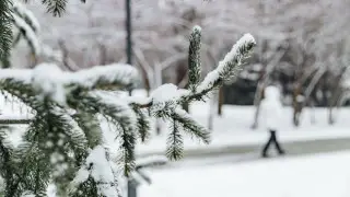Резкое похолодание: вслед за Астаной заморозит Алматы