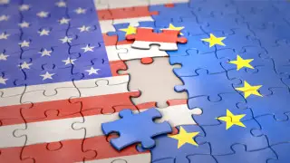 Лидеры Евросоюза проведут экстренный саммит из-за угроз США по Гренландии